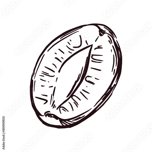A slice of prunes, half a prune drawn by hand in ink and translated into a vector. Vector illustration for printing on food packaging, cosmetics, kitchen textiles.