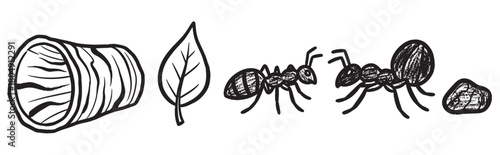 A charming hand-drawn set of nature icons featuring two ants, a leaf, a hollow log, and a small rock in a simple black and white linocut style
