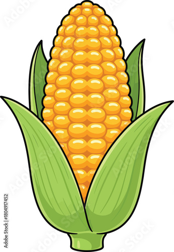 Corn cobs vector, corn cob icon, corn vector icon, corn silhouette vector illustration isolated on white background