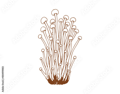 Vector artwork featuring a hand-sketched enoki mushroom bunch.