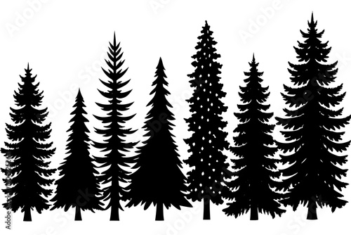 Vector silhouettes of pine and fir trees for winter forest or Christmas holiday illustration