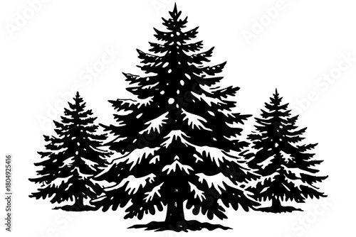 Isolated vectors of evergreen Christmas pine and fir trees with snow, perfect for winter holiday and forest nature illustrations