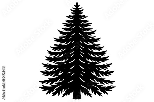 Vector illustration of an isolated evergreen Christmas tree branch with green needles, a winter holiday plant decoration for the season