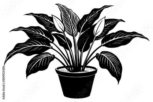 Potted houseplant vector illustration with green leaves, growth, and natural home decoration
