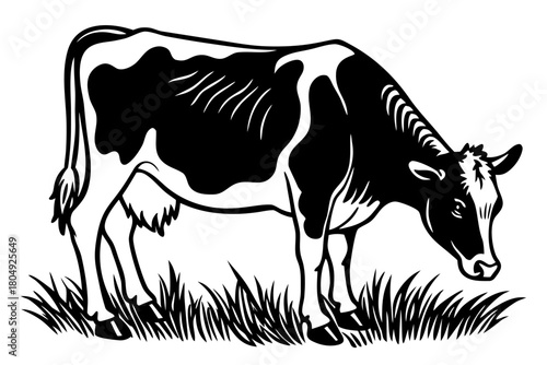 Cute cartoon farm animal illustration featuring a black and white cow and a calf in a field