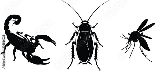Insect silhouettes, scorpion outline, cockroach shape, mosquito profile, black vector, pest control, white background, entomology reference, creepy crawlies, bug anatomy