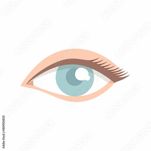 Stylized human eye illustration with blue iris and long delicate eyelashes