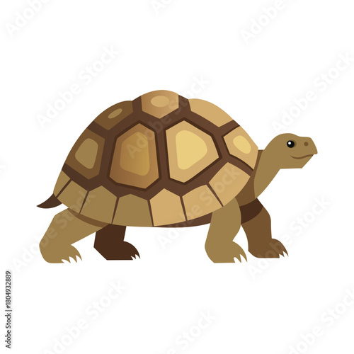 A brown tortoise walking slowly with a textured shell silhouette isolated on white background