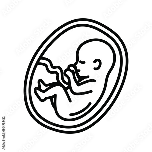Illustration of a fetus inside the womb isolated on