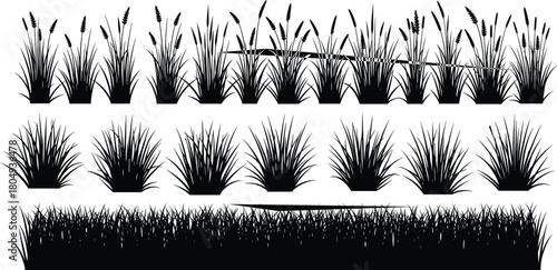 PrintGrass silhouettes set, black vector meadow plants, field reeds and lawn border isolated on white background for nature design.