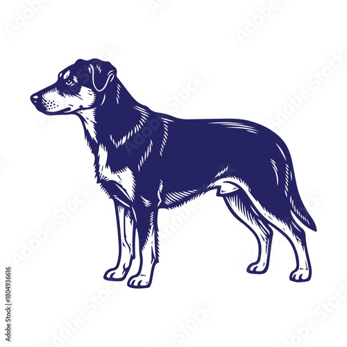 Loyal canine companion vector illustration standing profile, elegant graphic isolated art