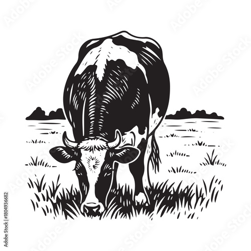 Black and white illustration of a dairy cow grazing in a lush pasture field.