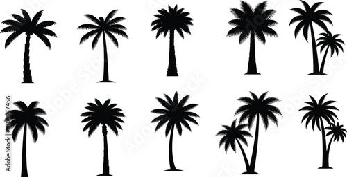 PrintPalm tree silhouette set, tropical tree icons, black vector illustration, beach nature design, exotic foliage shapes, minimal graphic, landscape art