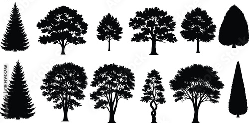 PrintTree silhouette collection, black forest nature vector set, pine oak and cypress plants, isolated landscape elements on white background.