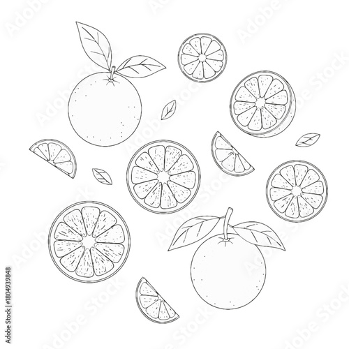 Black and white line art pattern of citrus fruits, including whole oranges, slices, and wedges, perfect for coloring pages or seamless backgrounds.