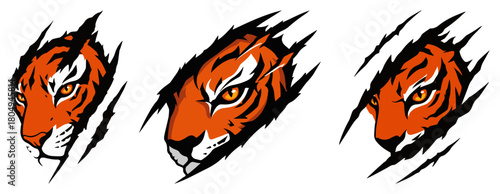 Fierce tiger heads tearing through claw marks – aggressive sports mascot logo set