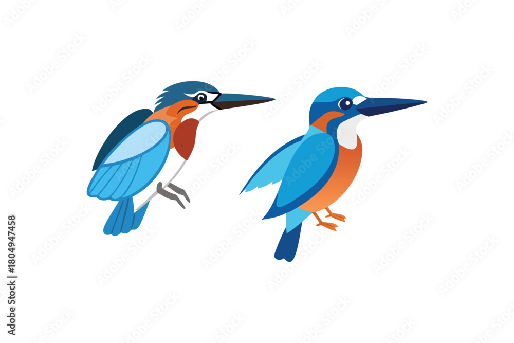 Obraz premium Two Colorful Kingfisher Bird Icons in Different Flat Design Styles with Vibrant Blue Orange and White Plumage for Wildlife and Nature Concepts