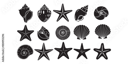 Set of different black sea shells and starfish vector illustration
Set of different black sea shells and starfish vector illustration. Bundle of different black sea shells and starfish vector