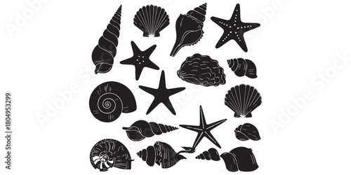 Set of different black sea shells and starfish vector illustration
Set of different black sea shells and starfish vector illustration. Bundle of different black sea shells and starfish vector