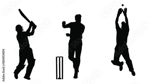 Cricket players in action silhouette isolated on white background, Vector