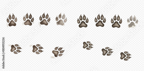 Collection of realistic animal paw prints in various shades and orientations on a transparent background.