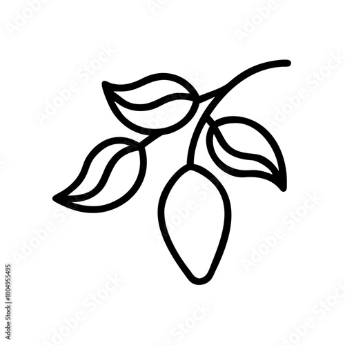 Single almond branch with leaves isolated on