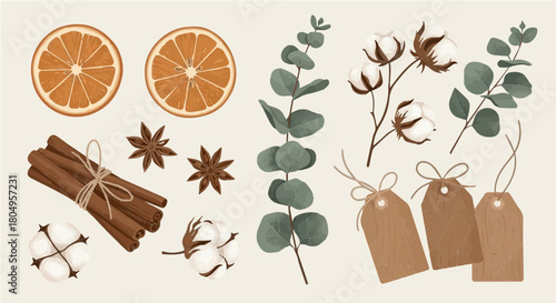 Boho Christmas vector collection featuring dried orange slices and organic botanical elements