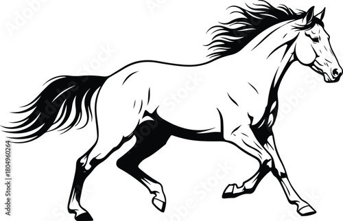 Graceful galloping horse outline vector illustration for projects