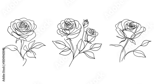 Minimalist one line rose drawings. Set of roses. Elegant continuous line floral illustrations perfect for prints, branding, stickers, and modern decor.