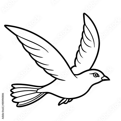 Bird in flight with spread wings isolated on