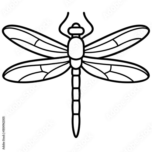 Dragonfly with intricate wing patterns isolated on