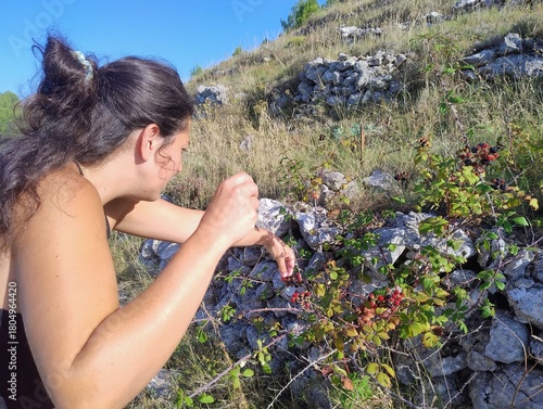 Woman Foraging Wild Blackberries on a Rocky Hillside