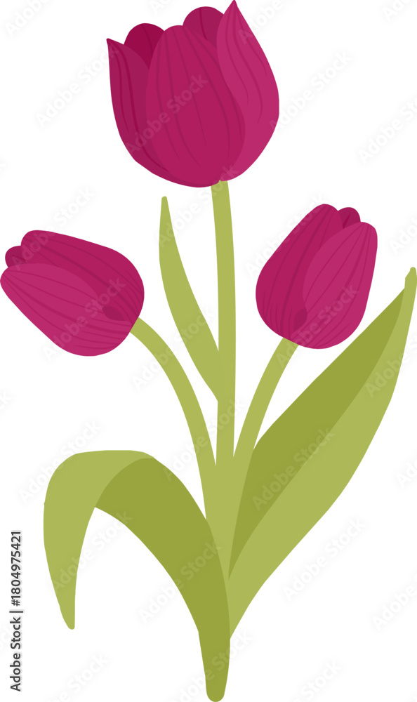 Fototapeta premium Purple tulip illustration in flat vector style for floral decorations, spring-themed designs, and botanical graphic projects