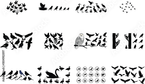 Diverse avian silhouettes collection birds flying