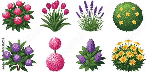 Collection of colorful blooming garden plants and flower bushes, spring floral shrubs with botanical leaves isolated for landscape design and nature decoration