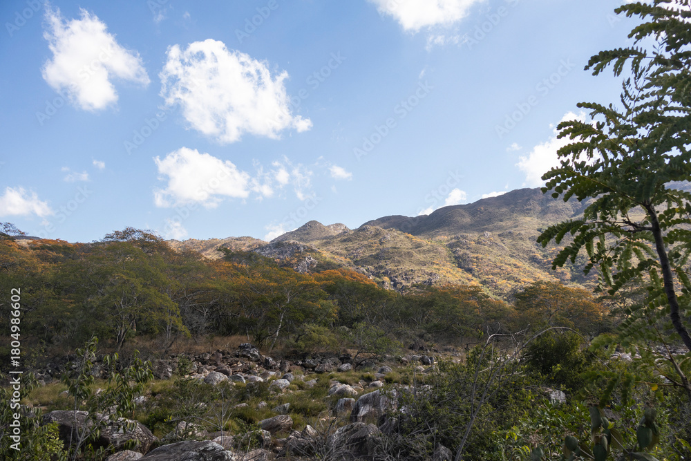 Fototapeta premium Natural Valley
