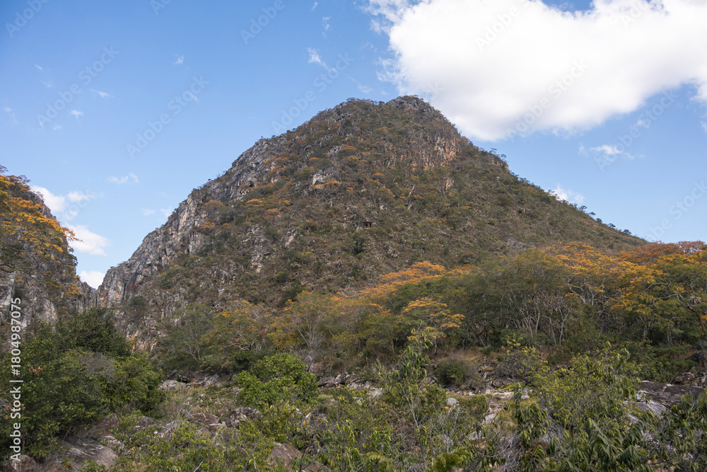 Naklejka premium Canion Bandeirinhas