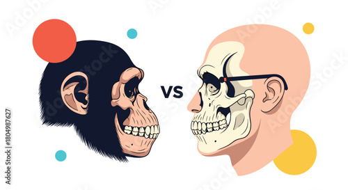 Illustration comparing a chimpanzee's head with a human skull wearing glasses.