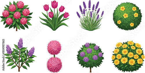 Collection of colorful flowering garden plants and bushes, spring floral shrubs and blooming flowers isolated for landscape design, nature decoration