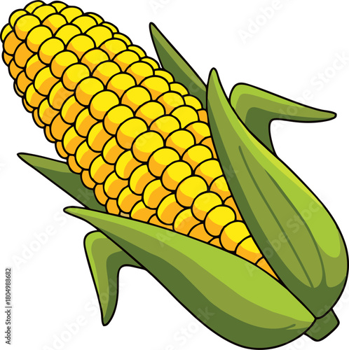 Golden Yellow Corn Ear in Clean Illustration
