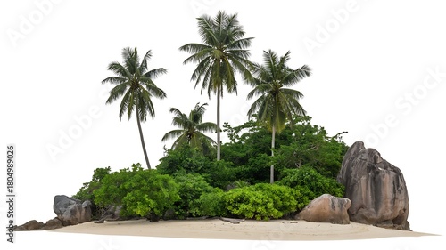 Tropical paradise island with palm trees, sandy beach, and rocks