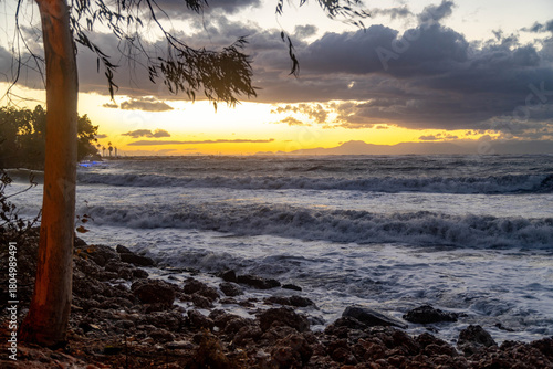 Fototapeta Naklejka Na Ścianę i Meble -  Stormy Mediterranean sea at sunset with a powerful wave in backlight, sparkling spray, dramatic cloud bank and rocky shore. Side, Antalya, Turkey.