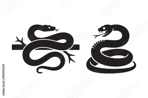 Two silhouetted snakes one coiled on a branch