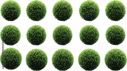 Green round topiary bush collection, lush garden decorative foliage spheres, natural landscaping plant set for outdoor design and botanical projects