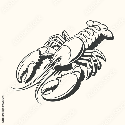 Vector illustration of a fresh red lobster seafood and crayfish crustacean isolated on white background