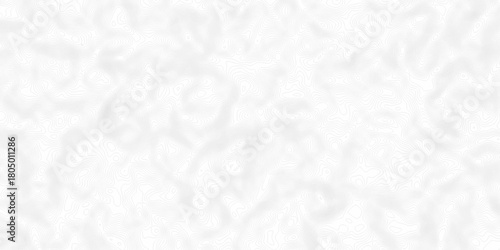 White wave paper curved reliefs abstract background, Abstract topographic contours map background. digital topographic contour map concept space geometric strip grid line. Natural discovery of maps.