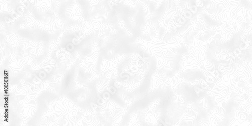 White wave paper curved reliefs abstract background, Abstract topographic contours map background. digital topographic contour map concept space geometric strip grid line. Natural discovery of maps.
