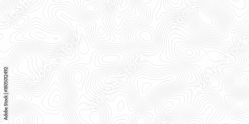 White wave paper curved reliefs abstract background, Abstract topographic contours map background. digital topographic contour map concept space geometric strip grid line. Natural discovery of maps.