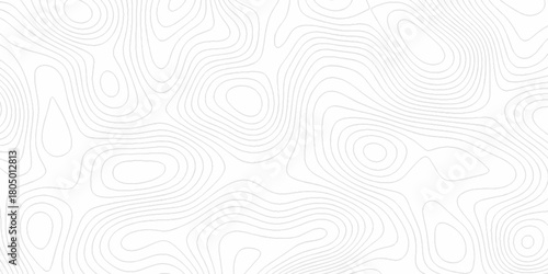 White wave paper curved reliefs abstract background, Abstract topographic contours map background. digital topographic contour map concept space geometric strip grid line. Natural discovery of maps.