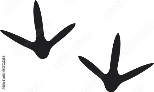 Black Bird Footprints Silhouette on White Background track paw print